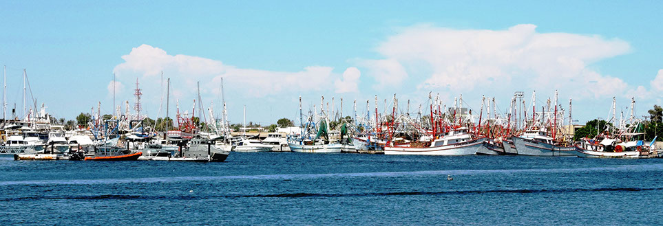 Home | Prestige Mexico | Rocky Point | Mexico